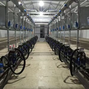Herringbone Quick-Release Electronic Metering Milking Machine
