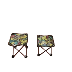 Fishing chair