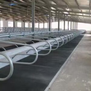 Single-row freestall cubicles