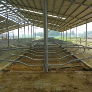 Double-row freestall cubicles
